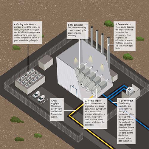 brigg_schematic_500x500.jpg