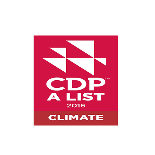 cdp_2016_logo_500x500a.jpg